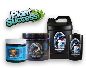 plant success